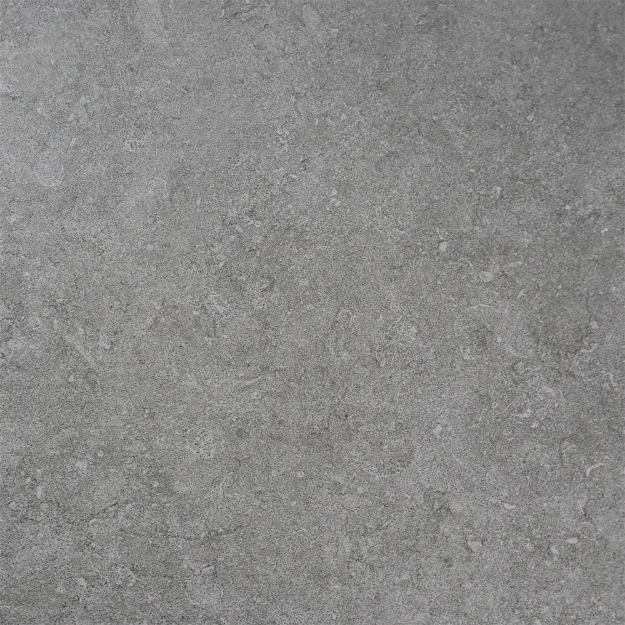 Afbeeldingen van Ri-Jo Ceramica  Equi Silver 60x60x2