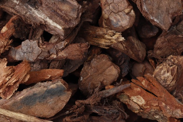 Afbeeldingen van Boomschors Pinus Maritiema 8\16 mm