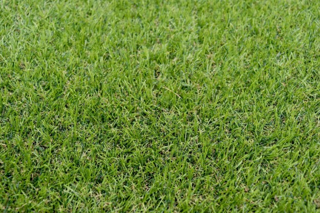 Afbeeldingen van Kunstgras Rood Mon 28mm 15700 st\m2