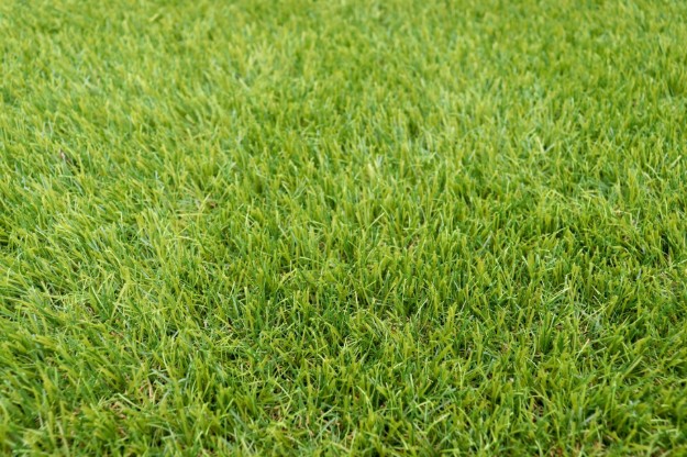 Afbeeldingen van Kunstgras Geel 50mm 1900 st\m2