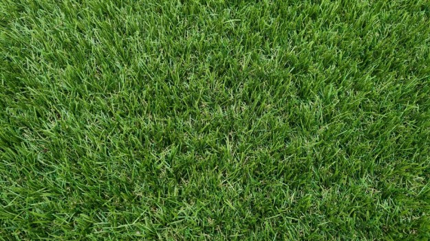 Afbeeldingen van Kunstgras Paars 45mm hoog 9400st\ m2