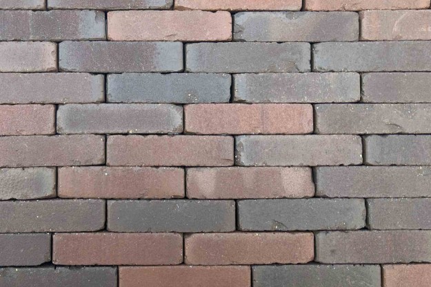 Afbeeldingen van Waalformaat Carpo