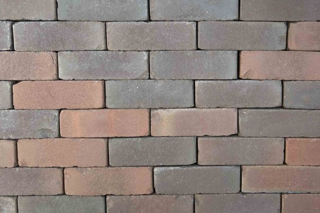 Afbeeldingen van Dikformaat Carpo