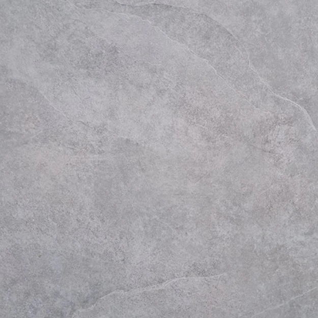 Afbeeldingen van Pacific Grey