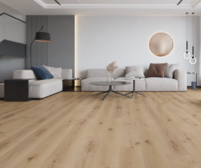 Afbeelding voor categorie Binnenvloeren