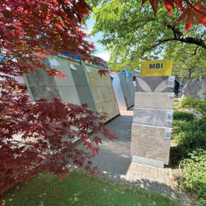 Afbeelding voor categorie B-Keuze